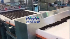 Ligne de production de barres protéinées PAPA Energy #proteinbar #proteinbar #energybar #energybars #protein