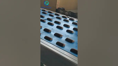 6 lignes de barres de figues enrobées de dattes, machine à faire du brassard à la guillotine.