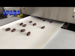 Une machine de recouvrement de dattes trempées en chocolat de 400 mm pour un client de Dubaï