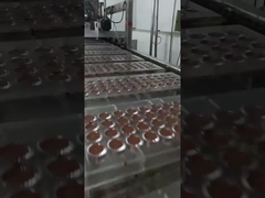 ligne de production de chocolat