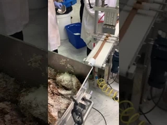 ligne de production de barres de dattes avec revêtement de cacahuètes et de noix de coco