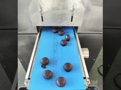 Les clients argentins viennent à notre usine et apprennent à fabriquer des boules énergétiques.