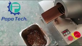 boule de dattes avec revêtement en poudre de cacao